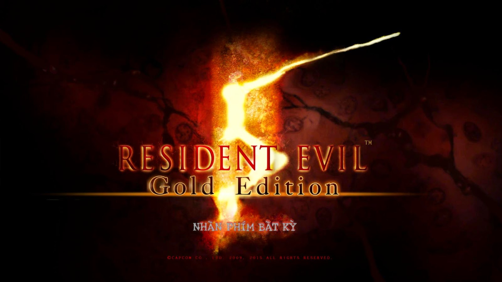 resident-evil-5-4