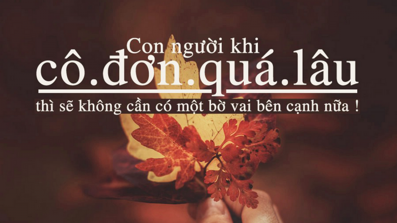 Chế ảnh kèm quote, câu nói hay dễ dàng