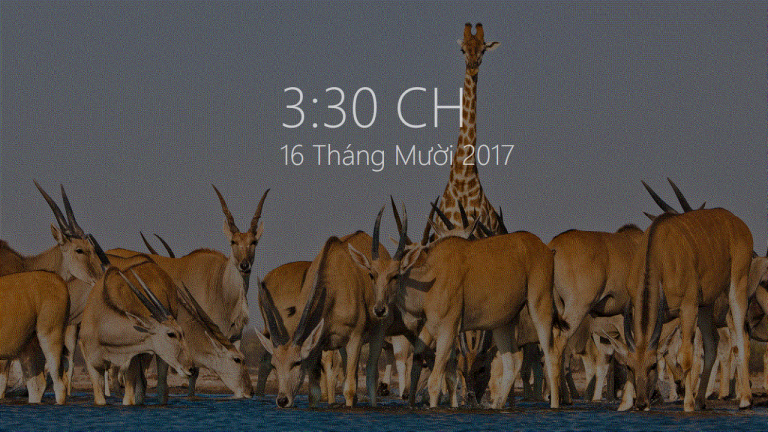 Cách làm màn hình chờ Win 10 dạng Glance trên Lumia