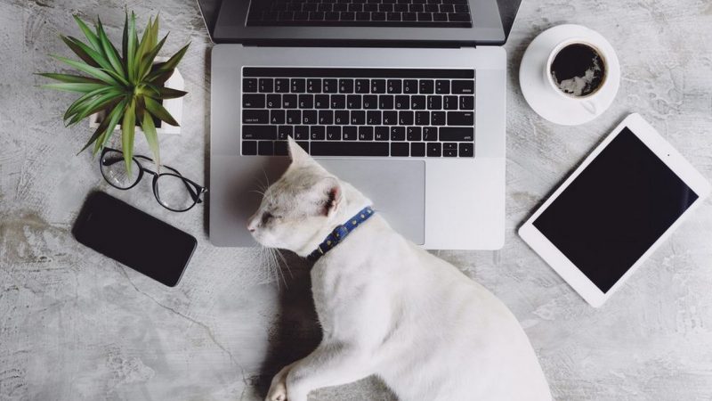 Tổng hợp 14 ứng dụng iOS đang miễn phí ngày 15/3 trị giá 31USD