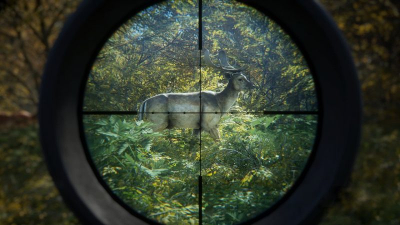 Đánh giá theHunter: Call of the Wild – tiếng gọi nơi hoang dã