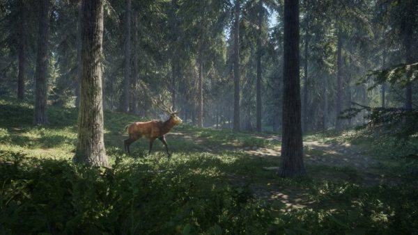 Đánh giá theHunter: Call of the Wild - tiếng gọi nơi hoang dã theHunter: Call of the Wild screenshot