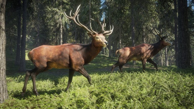 Kinh nghiệm chơi game theHunter: Call of the Wild