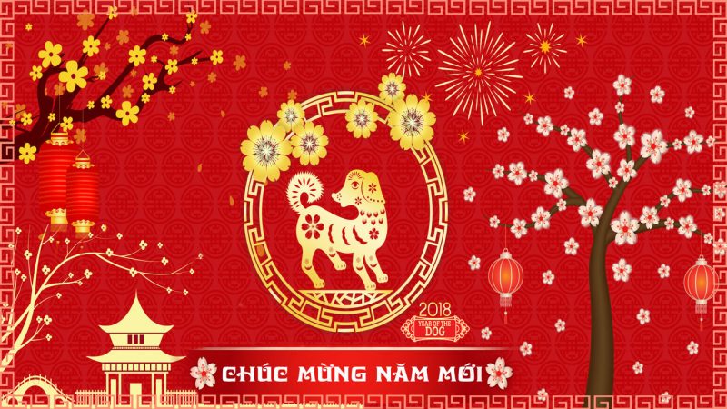 Chúc Tết, chụp ảnh Tết, xem hài giải trí ngày Tết trên iOS và Android