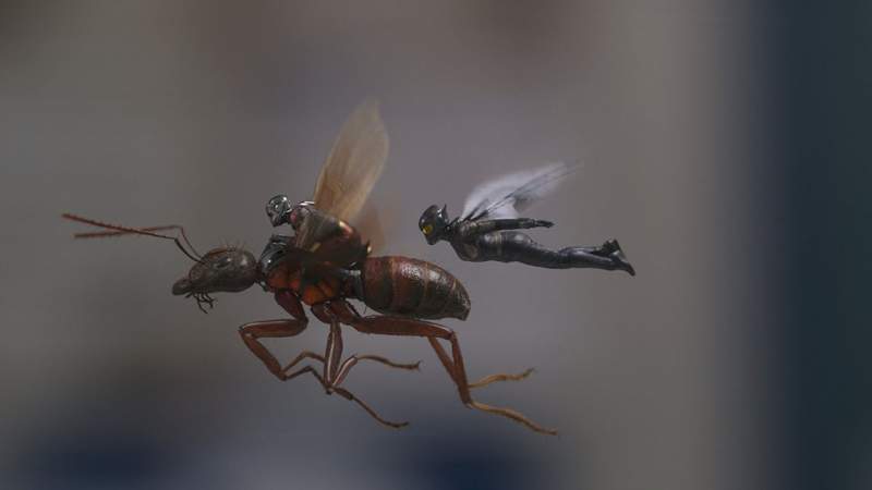 Đánh giá phim Người Kiến và chiến binh Ong (Ant-Man and the Wasp)