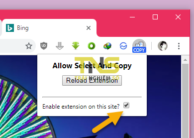 Allow Select And Copy