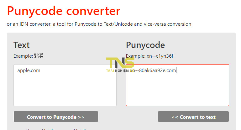 Mẹo nhỏ nhận diện một tên miền punnycode giả mạo