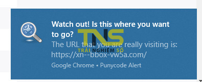 Thử nghiệm Punnycode và cách ngăn giả mạo tên miền trên trình duyệt
