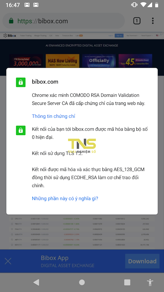 Mẹo nhỏ nhận diện một tên miền punnycode giả mạo