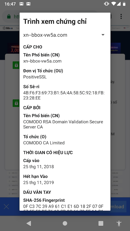 Mẹo nhỏ nhận diện một tên miền punnycode giả mạo