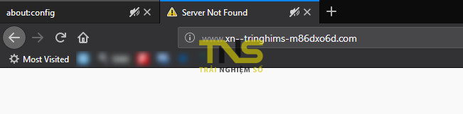 Thử nghiệm Punnycode và cách ngăn giả mạo tên miền trên trình duyệt