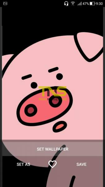 Hình nền heo hồng, lợn hồng ủn ỉn dễ thương cho điện thoại cho tết 2019 |  Lợn, Dễ thương, Đang yêu