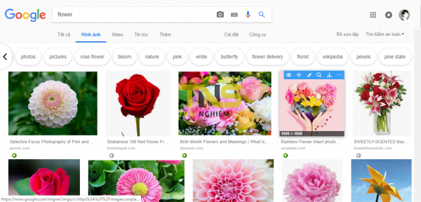 Xem, tải, chỉnh sửa hình ảnh trên Google Images