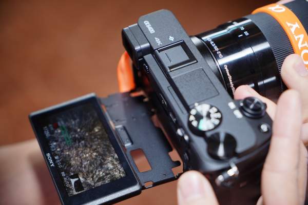 Sony α6400: Máy ảnh không gương lật có tốc độ lấy nét nhanh nhất thế giới