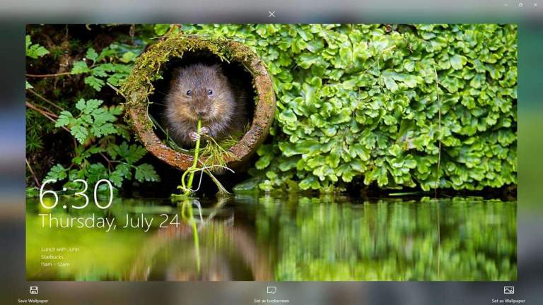 Tải hình ảnh Spotlight trên Windows 10 với SPOTLIGHTS WALLPAPERS