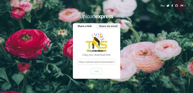 2019 05 29 17 22 47 800x388 - Dùng upload.express chia sẻ file tự hủy miễn phí 2019 05 29 17 22 47 800x388 - Dùng upload.express chia sẻ file tự hủy miễn phí