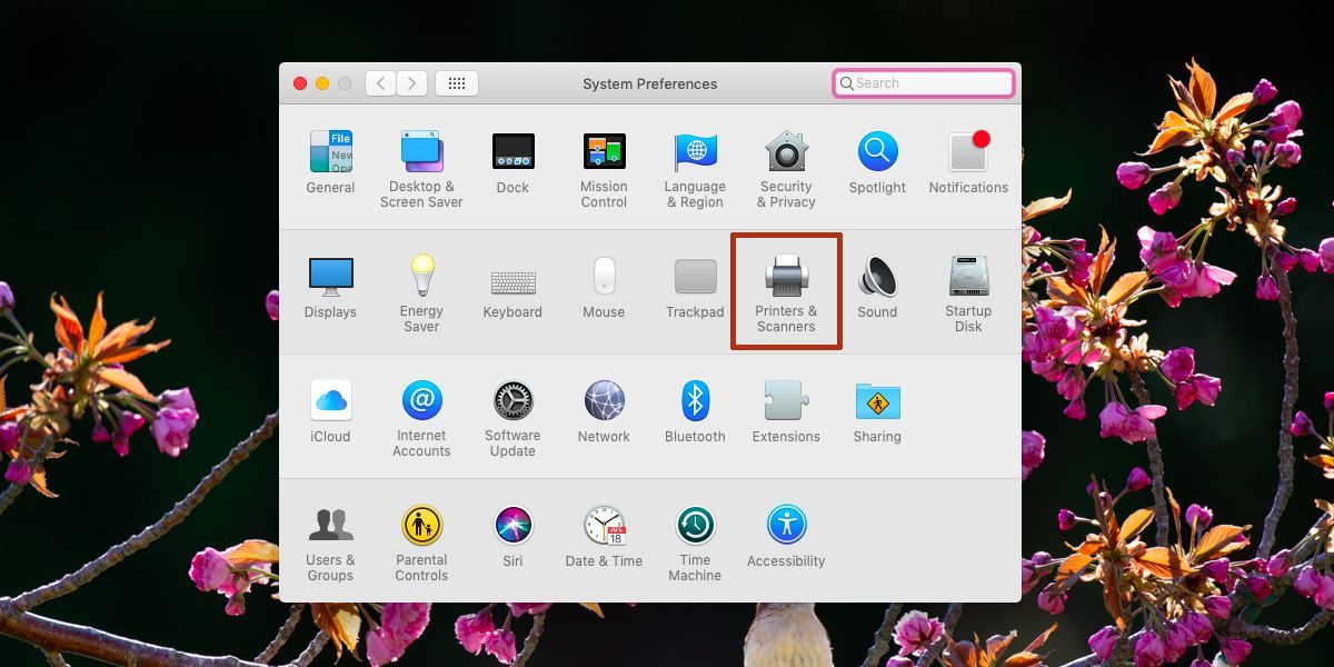 Cách cài thêm máy in trên macOS