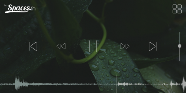 Spaces.FM: Thế giới âm thanh thiên nhiên để bạn thư giãn