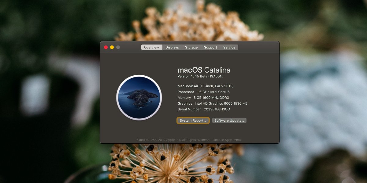 Cách kiểm tra ứng dụng 32-bit trên macOS
