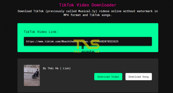 TikTok for Web: Xem, tải video TikTok mọi quốc gia không cần tài khoản