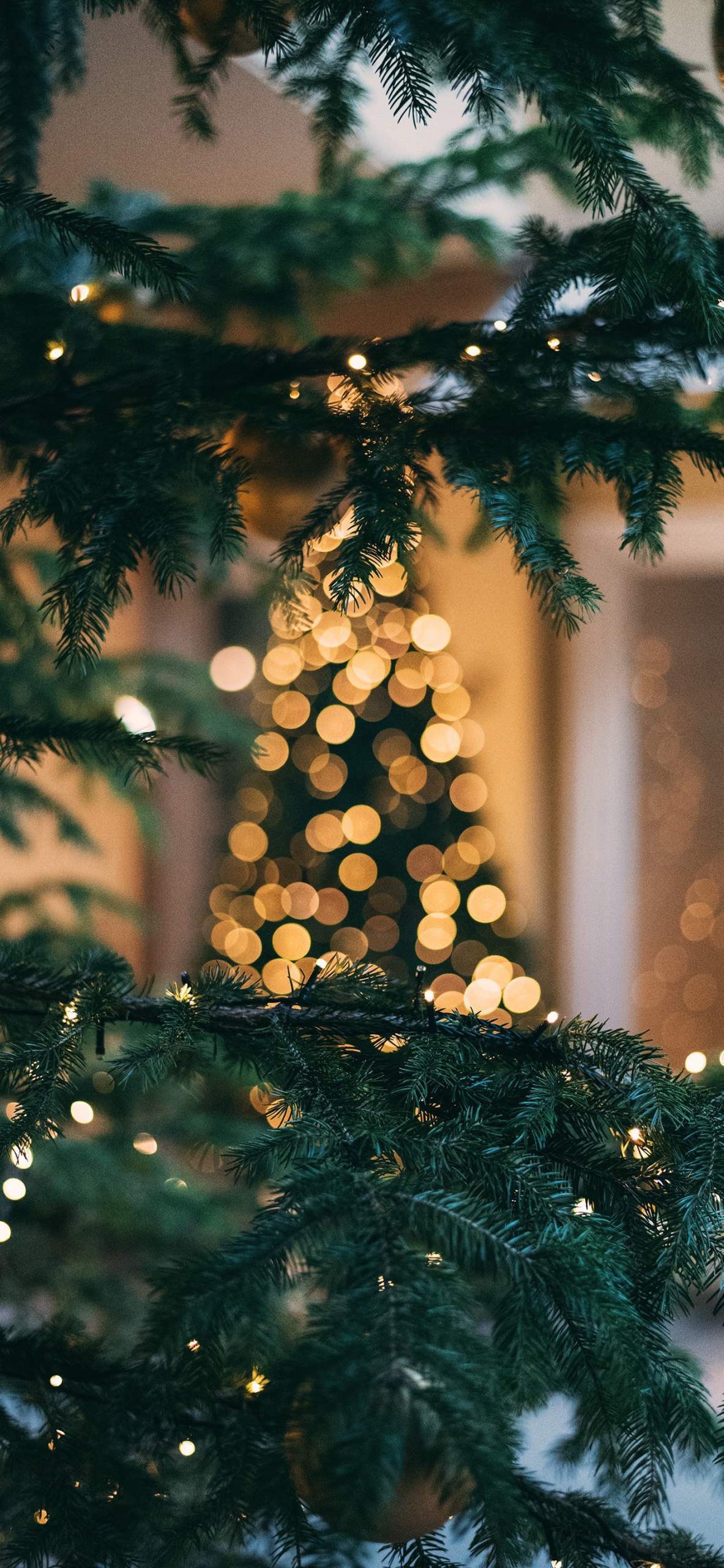 Mùa Giáng sinh 2019 sẽ càng trở nên thú vị và đáng nhớ hơn khi bạn có thể tùy ý sáng tạo và biến hóa vẻ ngoài của chiếc điện thoại thông minh của mình với những hình nền Giáng sinh đa dạng và đầy phong cách, bổ sung không khí Giáng sinh đầy sôi động cho cuộc sống hàng ngày của mình!