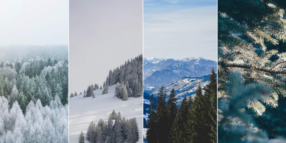 Hình nền : Núi, tuyết, mùa đông, cây, hàng đầu 3840x5760 - wallup - 1212554  - Hình nền đẹp hd - WallHere