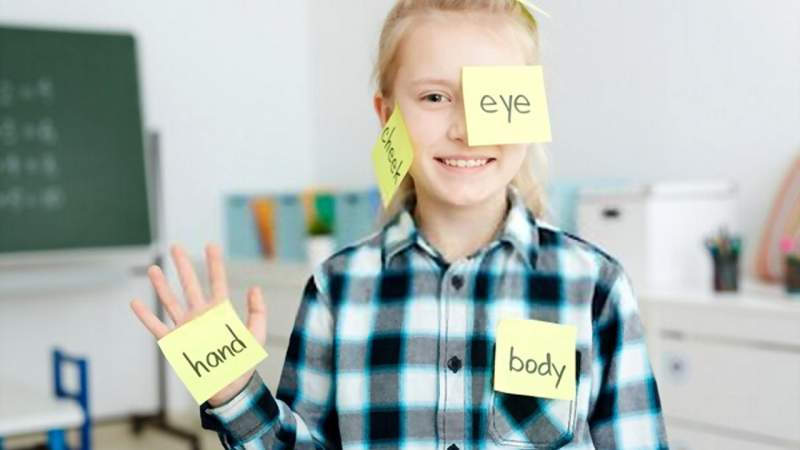 Ứng dụng Android giúp học 9000 từ và câu thông dụng