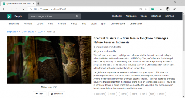 Mẹo hiển thị hình nền Bing trên New Tab trình duyệt Microsoft Edge Chromium