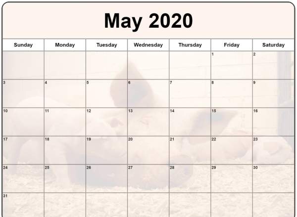 Bộ ảnh nền lịch cho tháng 5-2020