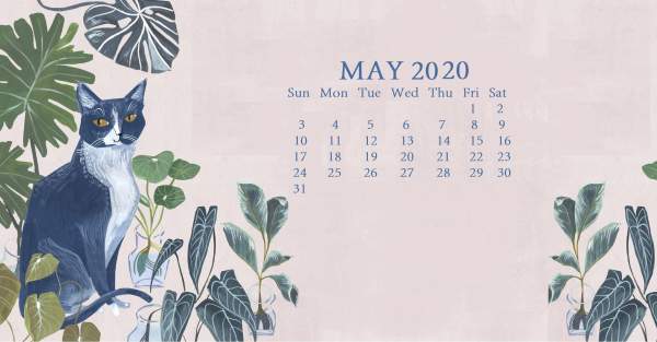 Bộ ảnh nền lịch cho tháng 5-2020