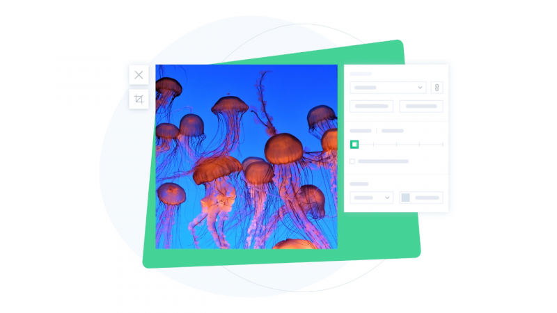 Cách giảm kích thước ảnh nhanh từ tab bất kỳ trên Chrome