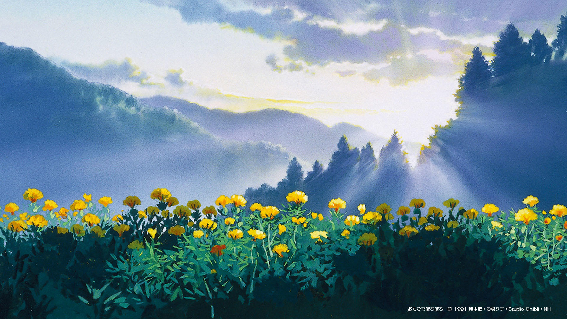 Ảnh nền Studio Ghibli rực rỡ sắc màu, lấy cảm hứng từ các bộ phim hoạt hình tâm đắc của Ghibli, sẽ đưa bạn vào thế giới nhân vật đáng yêu và cảnh quan đẹp như truyện tranh. Đặt lá hẹn cùng những chú Totoro, chiếc áo gió bay và những thần tiên bé nhỏ ngay lập tức.