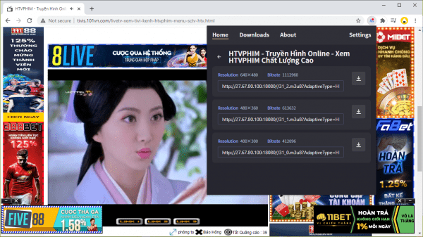 HLS Downloader - lấy link video live stream để phát trên VLC