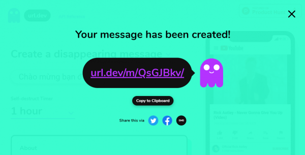 Cách gửi tin nhắn tự hủy với url.dev