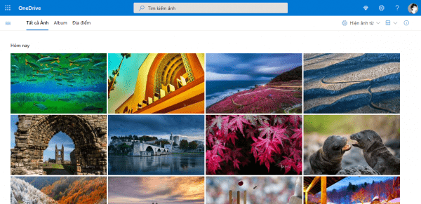 Cách sao chép video, hình ảnh Google Photos vào OneDrive