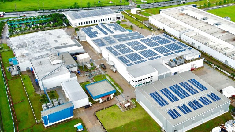 Tetra Pak được xếp hạng A cho hai hạng mục chống biến đổi khí hậu và bảo vệ rừng trên toàn cầu