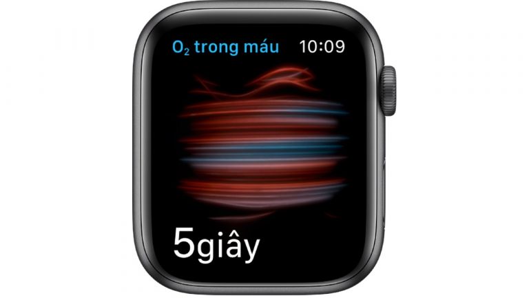 watchOS 7.3 chính thức hỗ trợ đo mức ôxi trong máu trên Apple Watch tại Việt Nam