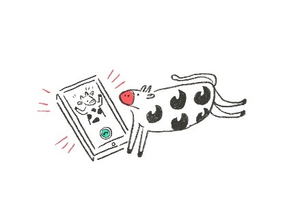 Cùng Tinder dự đoán điều gì đang chờ đón từng con giáp trong năm 2021? Cùng Tinder dự đoán điều gì đang chờ đón từng con giáp trong năm 2021?