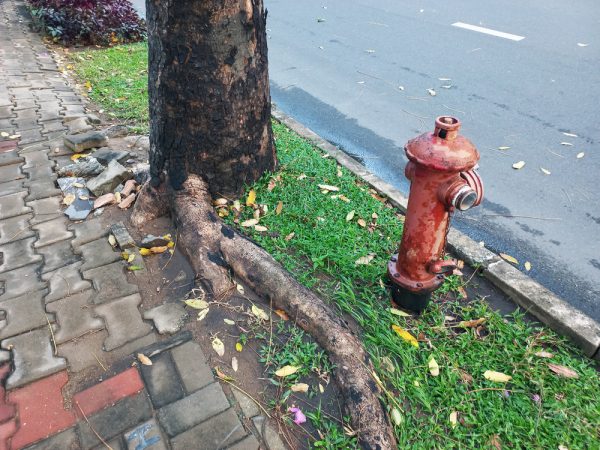 Đánh giá Samsung Galaxy A32 sau một tuần trải nghiệm