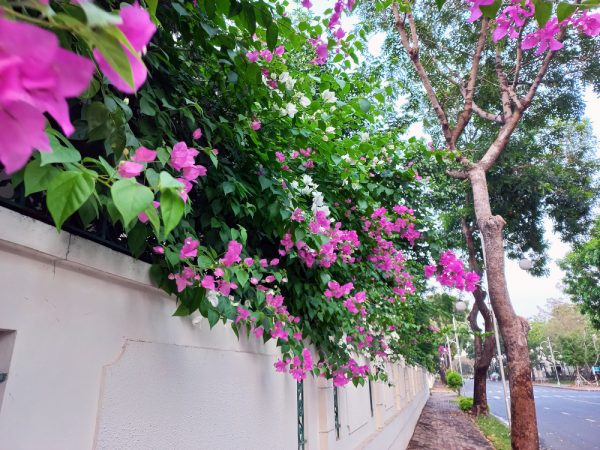 Đánh giá Samsung Galaxy A32 sau một tuần trải nghiệm