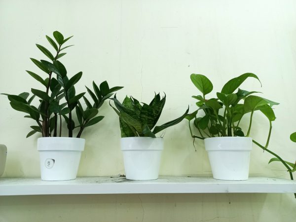 Đánh giá Samsung Galaxy A32 sau một tuần trải nghiệm