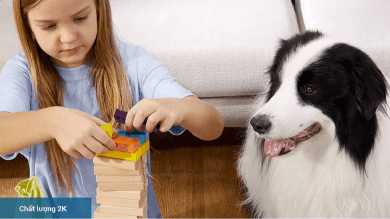 Deal sốc Camera xoay 360 độ Eufy Indoor 2K Pan & Tilt bảo vệ gia đình bạn 24/24