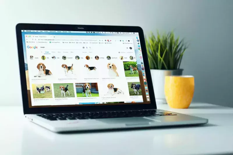 Google Photos là gì? Project Ellmann là gì?