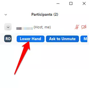 Cách hạ tay xuống trong cuộc họp Zoom