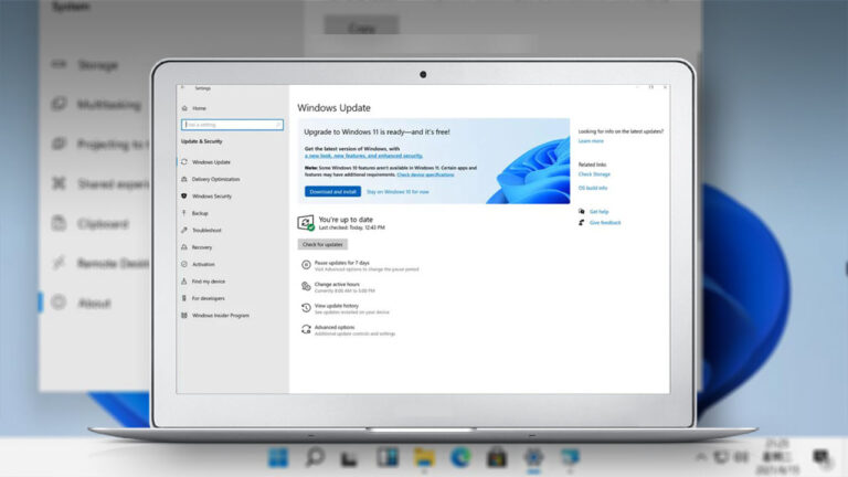 Cách ngăn Windows 10 tự cập nhật lên Windows 11