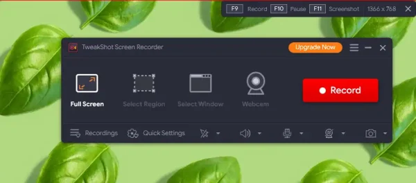 TweakShot Screen Recorder 1