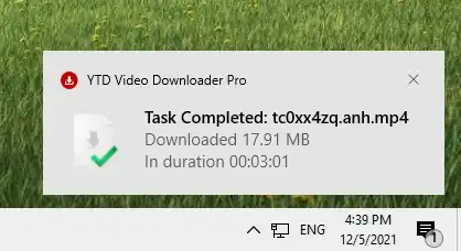 YTD Video Downloader Pro 8