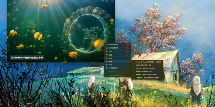 Timeline Wallpaper: Cài đặt hình nền Bing chất lượng 4K cho Windows 11