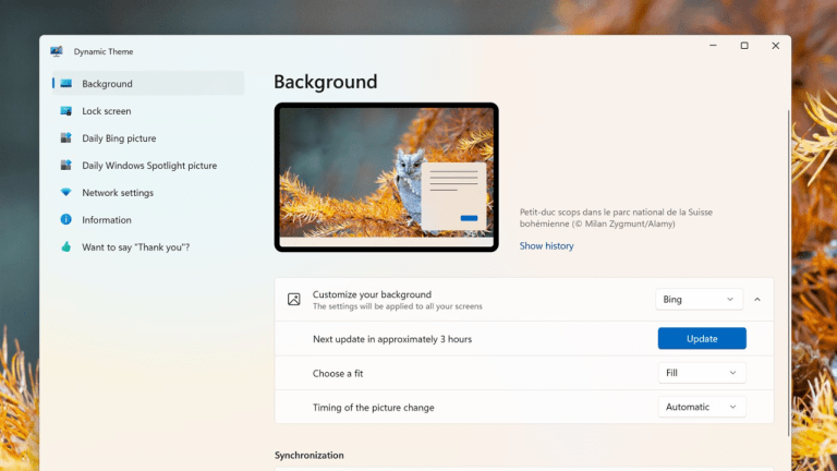 Dynamic Theme: tải hình ảnh Bing, Windows Spotlight trên Windows 11