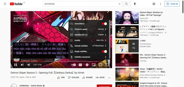 YouTube™ dual subtitles 1